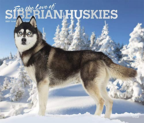 Siberian Huskies – For the love of - Sibirische Huskies 2021 - 16-Monatskalender mit freier DogDays-App: Original BrownTrout-Kalender - Deluxe [Mehrsprachig] [Kalender] (Deluxe-Kalender)