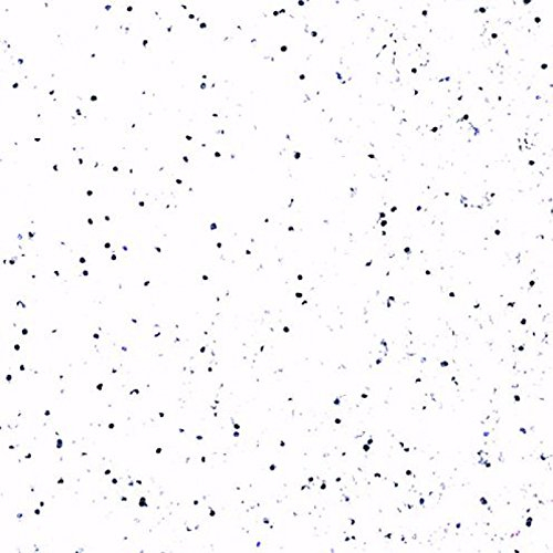 Embossing-Pulver WEISS-SILBER SUPERGLITZER 13 ml