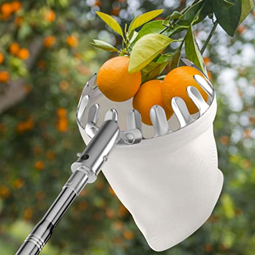 LekLai Obstpflücker-Werkzeug, Obstpflückerkorb, Obsternte-Obstsammler Mit Teleskopstiel, Obstpflücker In Großer Höhe Für Kirschbeeren, Orangen, Zitronen, Birnen, 3 M/6M/19.7Ft
