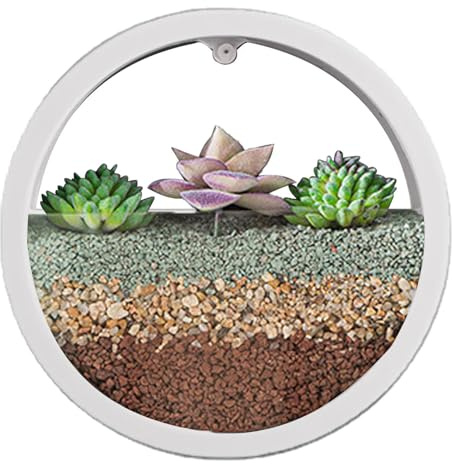 Generisch Maceteros de Pared Modernos Redondos, Jarrón Colgante para Hierbas, Cactus Pequeños, Balcón, Habitación y Terraza, Decoración 23 x 23 x 6 cm (Rosa/Gris)