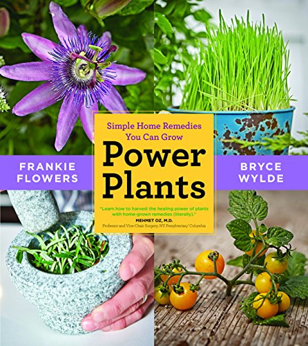 Power Plants: Simple Home Remedies You Can Grow