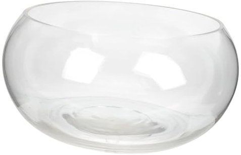 SUPVOX Bocal Rond en Verre Transparent pour Poissons et Plantes Décoratifs D'intérieur