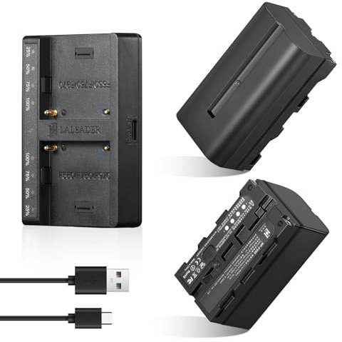 Soonpho 2-Pack NP-F550 Batterie de Rechange Remplacement Battery et Smart LED Double Chargeur USB-C pour Sony NP-F970 F960 F950 F770 F750 F570 F550 Compatible Godox Neewer caméscope/Moniteur/caméra