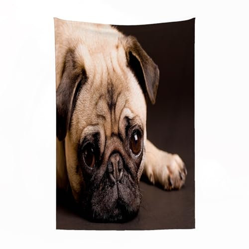 EYLOZS Kuscheldecke flauschig & super weich - hochwertige Fleecedecke auch als Wohndecke,Sofadecke & Wohnzimmer geeignet,Mops, süßes Foto von einem Mops mit seinem100x130cm