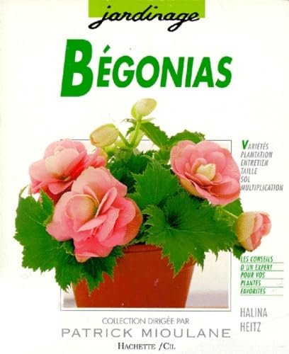 Bégonias: Des variétés pour le balcon, la terrasse, l'appartement et le jardin...