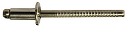 3,2 X 12,0 mm 500 Stück Edelstahl A2 / Edelstahl A2 Flachrundkopf Blindnieten Dichtnieten Nieten