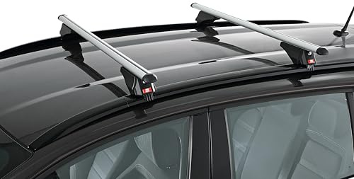 Fabbri ALU VIVA 3 120 cm universellt aluminiumskena takräcke