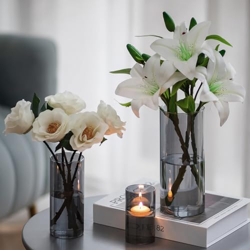 Hewory Vase Schwarz für Deko Wohnung: 3 Vasen Set Schick Blumenvase Modern Glasvasen für Tischdeko - Schönes Glasvase Zylinder Windlicht Glas Schwarz Vase Grau für Geschenk Freundin Esstisch Deko