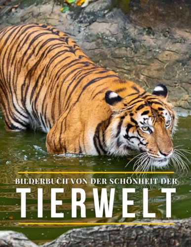 Bilderbuch Von Der Schönheit Der Tierwelt: Ein Fotobuch mit Wildtrieren zur Unterstützung des Gedächtnisses von Senioren und Erwachsenen mit Demenz oder Alzheimer.