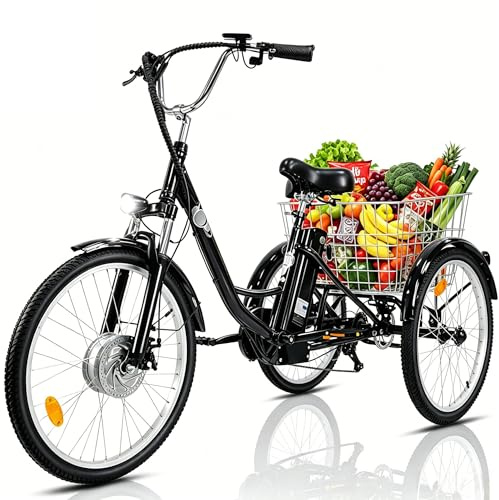 Fanesen E Bike Dreirad für Erwachsene 24 Zoll Elektro Dreirad für Herren und Damen 3 Rad Elektrofahrrad mit 36V 15Ah Lithium Akku 250W Motor lastenfahrrad LCD-Display Geschwindigkeit 25 KM/H