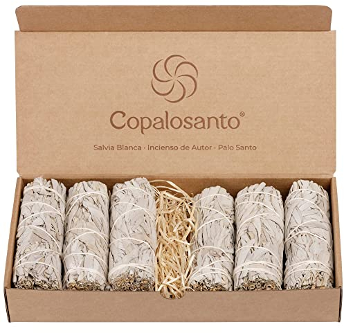 Copalosanto - Weißer Salbei 6er Pack | Räucherwerk Set | Räucherstäbchen & Räucherkegel | Spirituelle Reinigung & Meditation | Harmonische Wohnräume