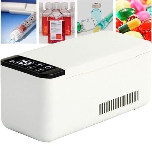 WBRSybUK Scatola Frigo per Insulina di Grande capacità, Mini Frigo Portatile da Viaggio per Auto, Dispositivo di Raffreddamento E Scaldino, Ricarica USB, con Batteria, 2 Battery
