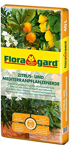 Floragard Zitrus-und Mediterranpflanzenerde 40 Liter - Zitruspflanzenerde - Kübelpflanzenerde mit Premium-Dünger und extra Eisen-Dünger für mediterrane Kulturen