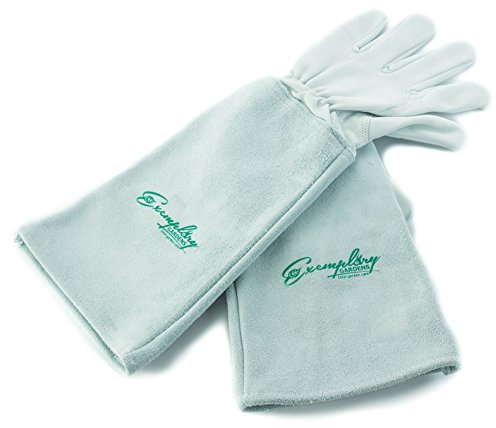 Rosen Gartenhandschuhe für Damen und Herren. Ziegenleder Gartenhandschuhe haben eine Lange Rindsleder Manschette zu Schützen für Ihre Arme, bis der Ellenbogen (extra groß, natürlich)