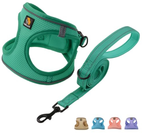 BELLA & PAL Ensemble harnais et laisse pour chien, harnais Step-in pour chiot, maille respirante avec bandes réfléchissantes, gilet anti-traction, pour chiots, chiens de très petite taille, vert, XXS