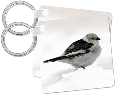 3dRose, Snow Bunting, set of 6 Key Chains