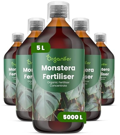 Engrais liquide organique 5x1L pour Monstera – vitalité durable et croissance optimale – Organifer