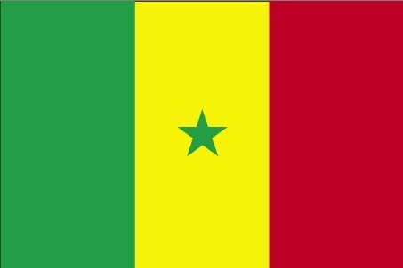 Drapeau Sénégal - 150 x 90 cm