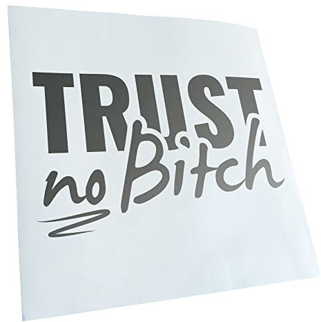 Kiwistar - Autoaufkleber - Silber - 16x10cm Trust no B - Vertrau keiner Tussi Aufkleber für Auto, Laptop, Fahrrad, LKW, Motorrad mehrfarbig JDM Decal Racing