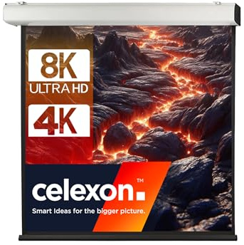 celexon Expert XL Motor-Leinwand 165 | 300x300 cm 1:1 | elektrische 4K, Full-HD Installations-Leinwand für jahrelange Projektionsfreude mit Ihrem Beamer | zur Decken- & Wandmontage