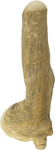 Chewies Os à mâcher pour Chien, Jouet en Bois de café, 100% Naturel, bâton pour Chien de Plus de 20 kg, Taille L