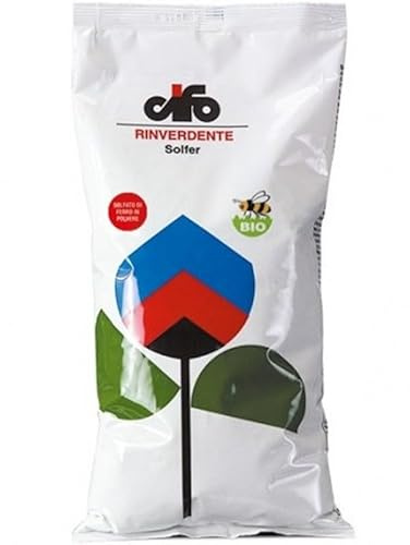 CIFO SOLFER