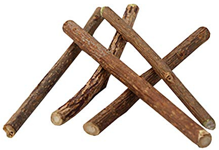 Yicare Katzenminze Sticks 10 Stück Matatabi-Kausticks als Katzenspielzeug für die natürliche Katzen Zahnpflege Dental Kau-Sticks helfen bei Zahnstein Mundgeruch
