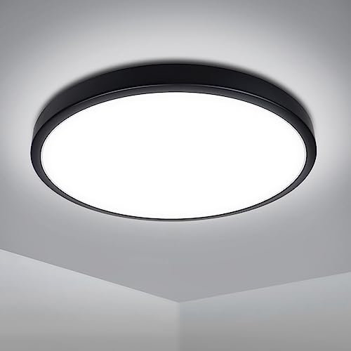 EXTRASTAR 12W Bathroom Black Border Ceiling Light, 1160LM, 81W Equivalent, IP54 Cool White 6500K Round Modern Ceiling Lightning for Living Room, Bedroom, Kitchen, Corridor, Office and More, Ø 280mm