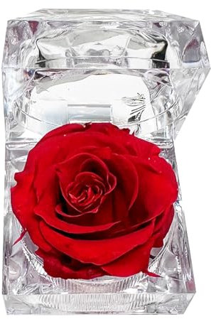 Sarini Forever Flowers Rosenringboxen, konservierte rote echte Rose, Geschenkbox, Jahrestag, Valentinstag, Geburtstag, Geschenke für Familie, Ehefrau, Freundin, Mutter