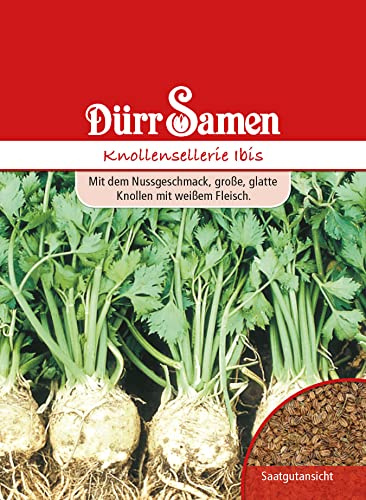Dürr-Samen - Knollensellerie Ibis Saatgut