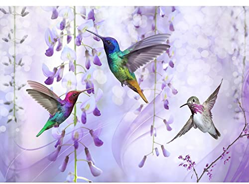 Runa Art Fototapete Blumen Vögel Kolibri 352 x 250 cm Vlies Tapeten XXL Moderne Wandtapete Wohnzimmer Schlafzimmer Violett 9490011a