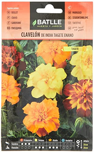 Semillas Batlle Clavelon di India Tage Nano