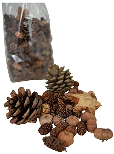 CHICCIE Potpourri Trockenpflanzen Natur 20cm - Herbstdeko Herbst Naturdeko Deko