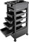 Friseurwagen Salon Trolleys mit 5 Schubladen Rollwagen für Stylist Friseur Haarstyling 50 * 32 * 81cm