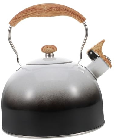 MAGICLULU Stainless Steel Tea Kettle Whistle Kettle for Gas Stove Modern Design Safe Handling