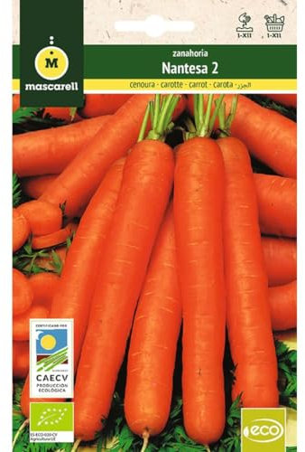 Mascarell Semillas, ZANAHORIA NANTESA 2, Semillas Ecológicas, 5 Gramos