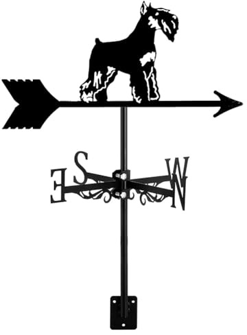YYLDPFDC Weather Vane, Black Metal, Animal Themed, Weather Resistant, Durable, UV & Rust Resistant, Arrow Shaped, Roof Mount, Garden Decoration