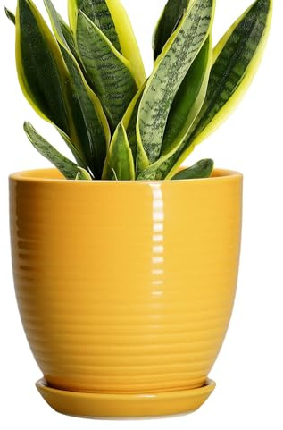 EPFamily Ceramic Pots for Plants - 6 Inch Plant Pot with Drainage Hole and Saucer, Round Planters, Flower Pots, Modern Planter, Home Office Room Decor, Gifts for Plant Lovers, Yellow