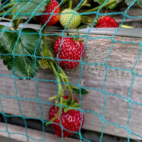 Elixir Gardens Garden Bird Netting Various Widths 2,4,6,8,10m Various Lenghts 2-15m Green Pond Safety Fruit cage Veg net 10m x 10m