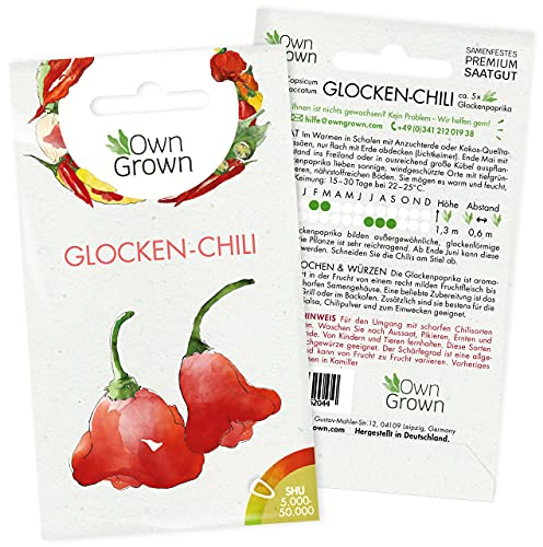 Chilisamen Glockenchili: 5 Premium Glocken Chili Samen zum Anbau von Chili Pflanzen für Balkon, Kübel und Garten – Glockenpaprika Samen für frische Chilipflanzen – Chili Samen scharf von OwnGrown