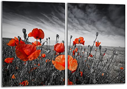 Herdabdeckplatten Set 2x40x52 cm Ceranfeld Abdeckung Glas Spritzschutz Abdeckplatte Glasplatte Herd Ceranfeldabdeckung Deko, Mohnblumen Rot