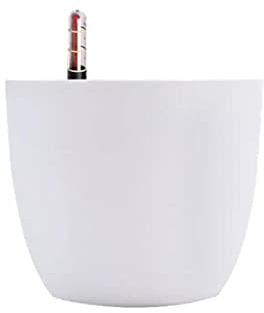 Cactus Vasetti Per Piantine Vasetti Piante Grasse Succulenta Vasetto Rotondo Automatico Giardino Succulente Contenitore Flower Flower Pot Automatico Flowerpot Ad Assorbimento Dell'Acqua, Plastica, Res