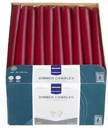 METRO Professional Candele a punta, 100% paraffina, 60 pezzi, ca. 7 ore di combustione, bordeux