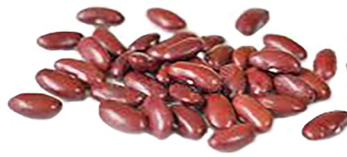 Bush Bean Red Kidney Bean Seeds