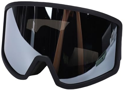 Oreilet Gafas de esquí para Hombres y Mujeres, Gafas de Snowboard, 2 Capas Antivaho a Prueba de Sol sobre Gafas, Gafas Nieve para Snowboard, Motos Nieve, Trineos Tirados por Perros (SILVER)
