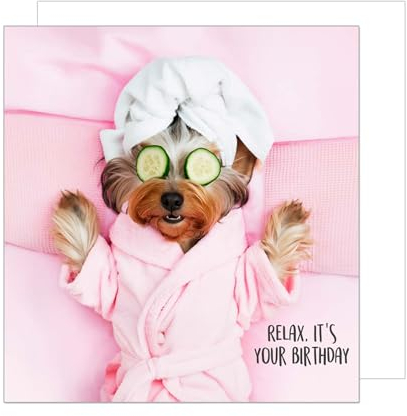 Edition Seidel Premium quadratische Geburtstagskarte mit Umschlag. Glückwunschkarte Happy Birthday Billet Karte mit Spruch für Frau Freundin Relax Hund (GQ294 SW024)