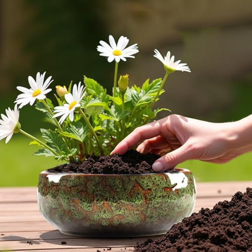Ya Ya HE - Pot de fleurs de lotus en céramique, pour plantes succulentes, hydroponiques, aquatiques, sans trous de drainage, taille 17 x 6,4 cm, couleur D, intérieur