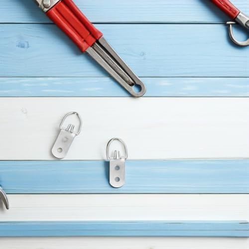 Baluue Juego de 30 Colgadores de Marcos con Anilla D Doble Orificio y Tornillos Gancho Resistente para Colgar Cuadros Lienzos y Marcos de Punto de Cruz Kit para Decoración de Paredes
