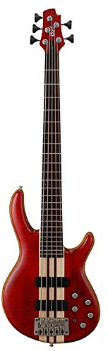 Cort B-001 – 0749 – 0 bajo eléctrico profesional a 5 cuerdas