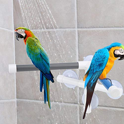 Fågelbad Abborre Papegoja Träningsställ Sittplatser PVC Fågel ståplattform Fågeldusch Badställ med sugkopp för undulater Parakit Cockatiel Conure Lovebirds